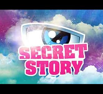 Logo de l'émission Secret Story, diffusée sur TF1