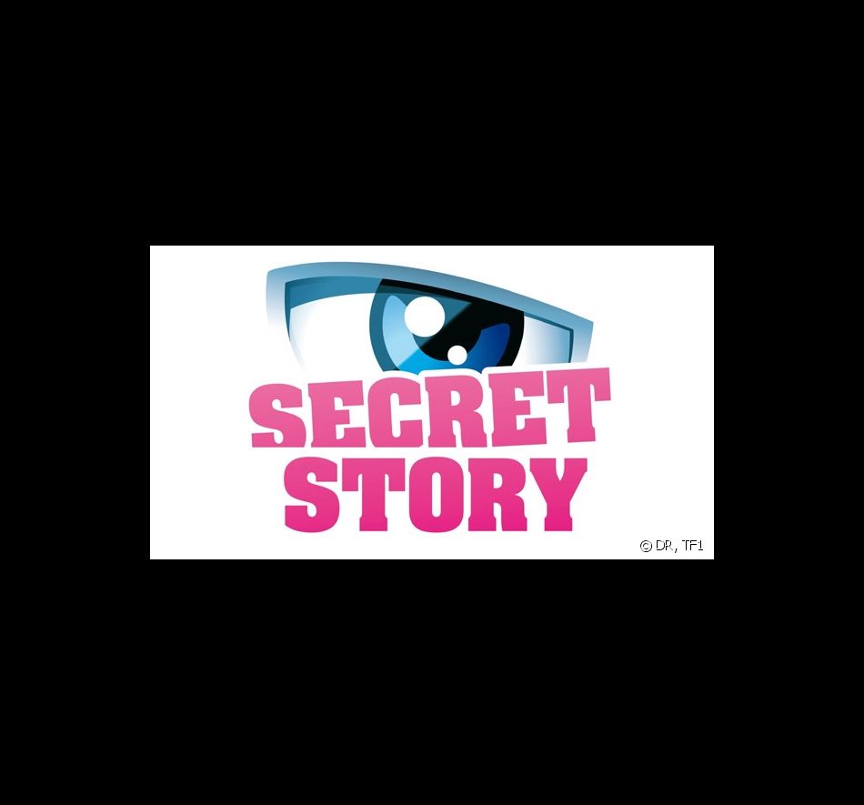 Secret Story 2013