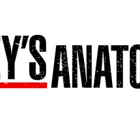 Grey's Anatomy - Saison 4