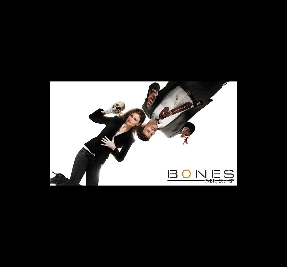 Bones - Saison 6