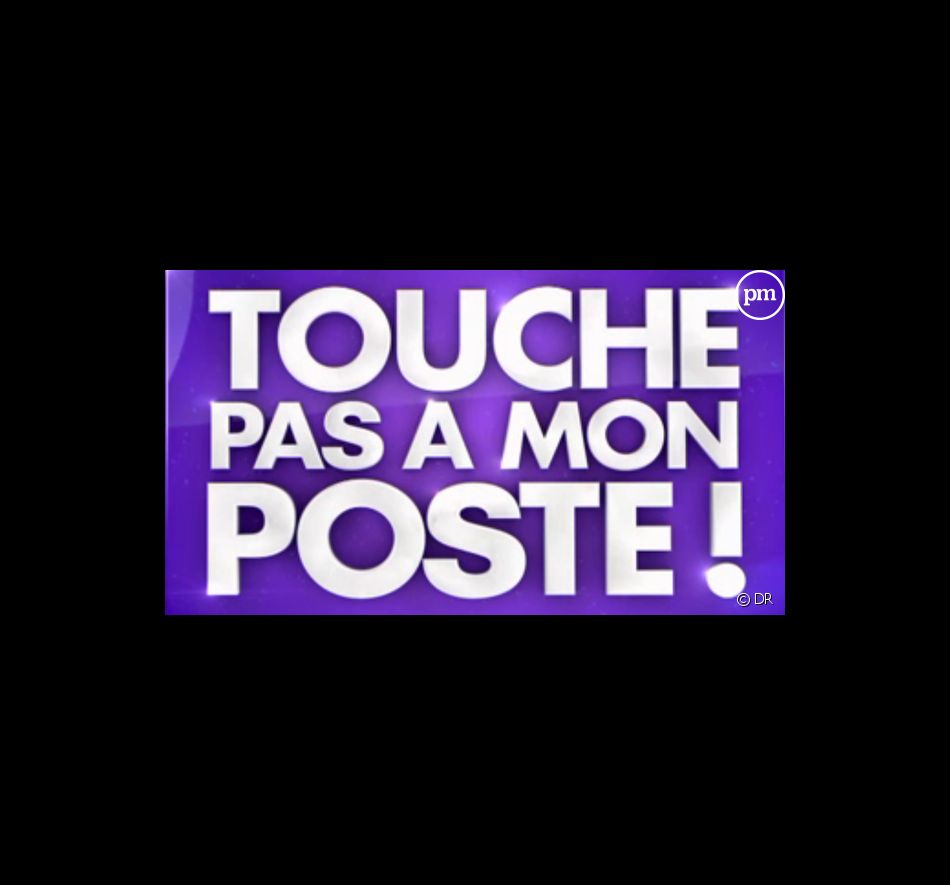 "Touche pas à mon poste", logo 2013