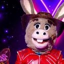 "Mask Singer" 2026 : Quelle célébrité se cachait sous "L'Âne" et a été démasquée après avoir remporté la finale ?