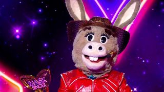 "Mask Singer" 2026 : Quelle célébrité se cachait sous "L'Âne" et a été démasquée après avoir remporté la finale ?