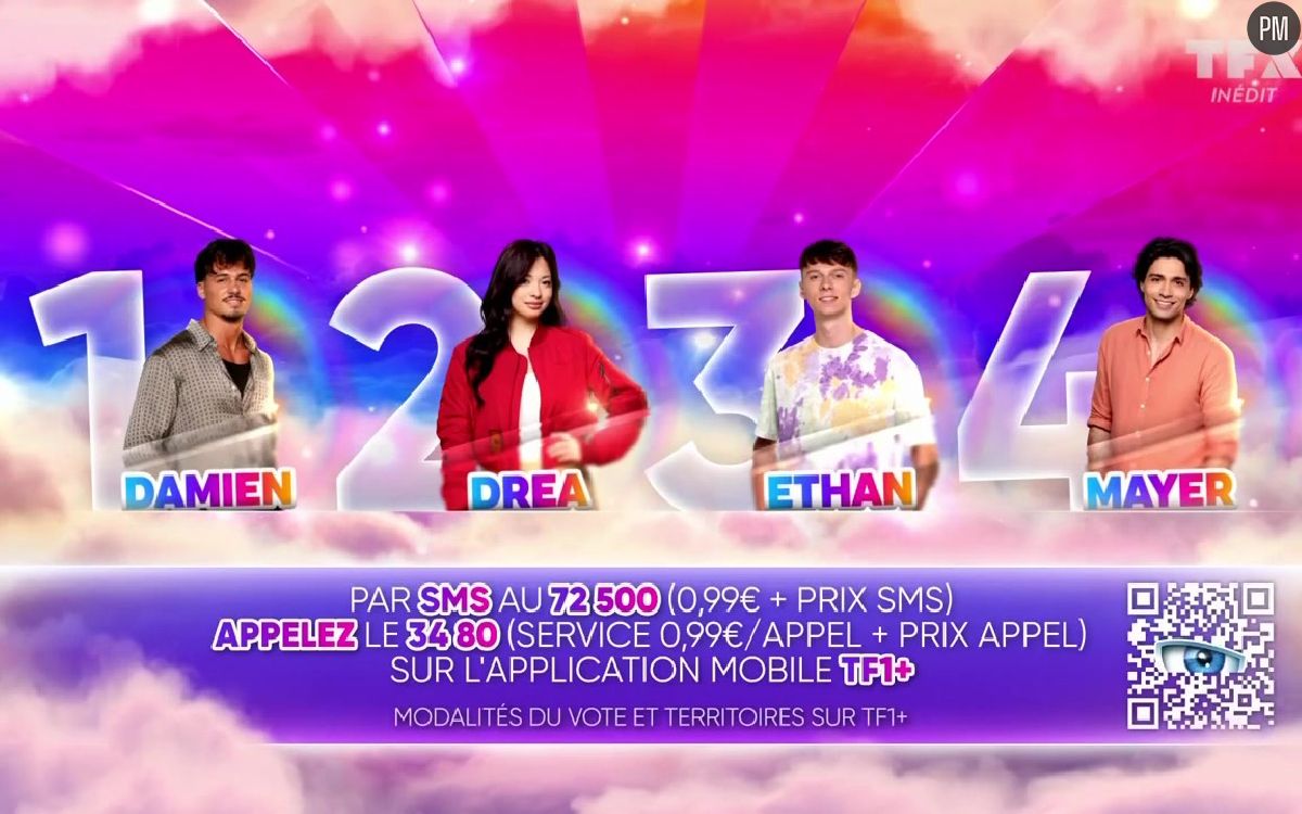 Secret Story" 2025 : Qui de Damien, Dréa, Ethan ou Mayer doit absolument  être sauvé ? Votez dans notre sondage - Puremédias