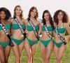 Miss Alsace, Miss Bourgogne, Miss Franche-Comté, Miss Lorraine, Miss Rhone-Alpes.
