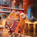 "Mask Singer" : À quoi va ressembler la soirée spéciale Noël diffusée ce soir sur TF1 ?