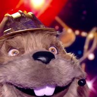 "Mask Singer" 2025 : On a déjà démasqué "Le Castor"… Il s’agit d’un célèbre acteur et humoriste français