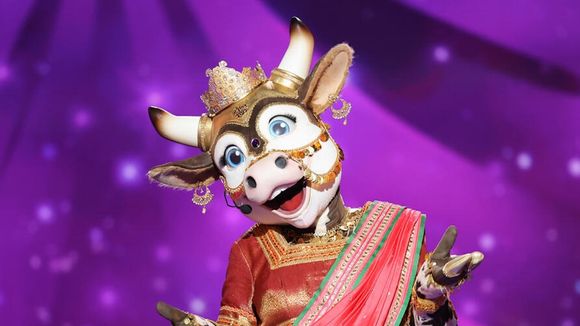 "Le plus gros palmarès" de l'histoire de "Mask Singer" : La production de l'émission de TF1 dévoile les premiers indices sur les 19 célébrités de la saison 7