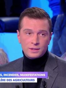 Audiences access 20h : Jordan Bardella offre un record historique à "TPMP" et Cyril Hanouna sur C8, "Quotidien" et Yann Barthès résistent sur TMC