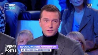 Audiences access 20h : Jordan Bardella offre un record historique à "TPMP" et Cyril Hanouna sur C8, "Quotidien" et Yann Barthès résistent sur TMC