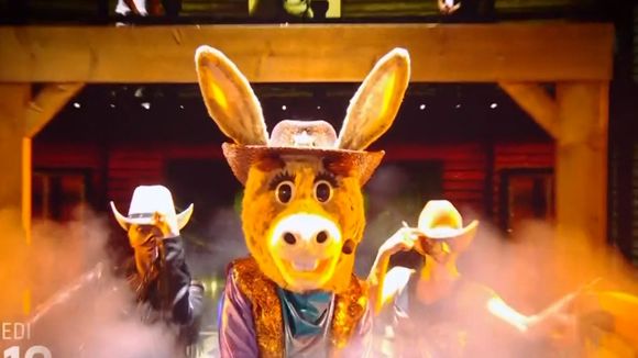 Pourquoi TF1 ne diffusera pas "Mask Singer" la semaine prochaine