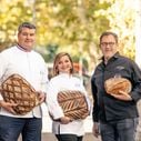 Audiences pré-access : Quel score pour le lancement de "La meilleure boulangerie de France" saison 12 sur M6 ?