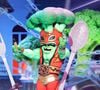 Qui se cache derrière "Le brocoli" de "Mask Singer" sur TF1 ?