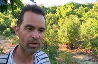 La bande-annonce de la nouvelle saison de "Koh-Lanta" 2026 sur TF1