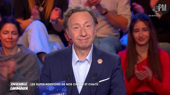 Stéphane Bern sur France 3 dans l'émission "Ensemble pour nos animaux"