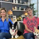 "Animaux à adopter" : TMC annonce la date de diffusion de la nouvelle saison inédite de l'émission présentée par Sandrine Arcizet et Elodie Ageron