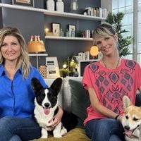 "Animaux à adopter" : TMC annonce la date de diffusion de la nouvelle saison inédite de l'émission présentée par Sandrine Arcizet et Elodie Ageron