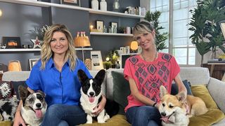 "Animaux à adopter" : TMC annonce la date de diffusion de la nouvelle saison inédite de l'émission présentée par Sandrine Arcizet et Elodie Ageron
