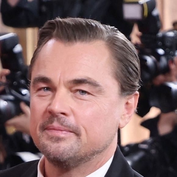 Pas de trophée individuel pour Leonardo DiCaprio.