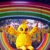 Qui se cache sous le Poussin dans "Mask Singer" 2026 ?
