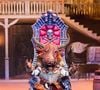 Qui se cache derrière "Le bison" de "Mask Singer" 2025 ?