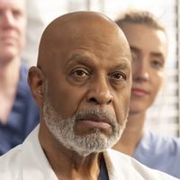 Audiences : Le final de la saison 21 de "Grey's Anatomy", leader surprise sur TF1, la mini-série de France 2 s'effondre, carton pour Vincent Lindon sur Arte