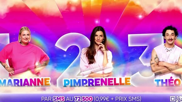 "Secret Story" 2025 : Qui de Marianne, Pimprenelle ou Théo doit être sauvé ce jeudi 19 juin ? Votez dans notre sondage