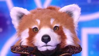 "Mask Singer" 2025 : Quelle célébrité se cachait sous le costume du "Panda roux" et a été éliminée ce vendredi soir sur TF1 ?