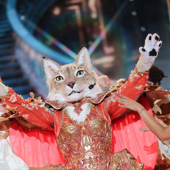 Qui se cache derrière le Lynx de "Mask Singer" 2025 ?