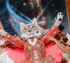 Qui se cache derrière le Lynx de "Mask Singer" 2025 ?