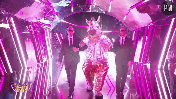 Qui se cache derrière le costume de "Le Rhinocèros" de "Mask Singer" 2025 sur TF1 ?