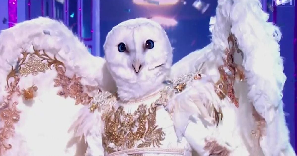 Mask Singer 2026: Who was the celebrity behind the Owl?