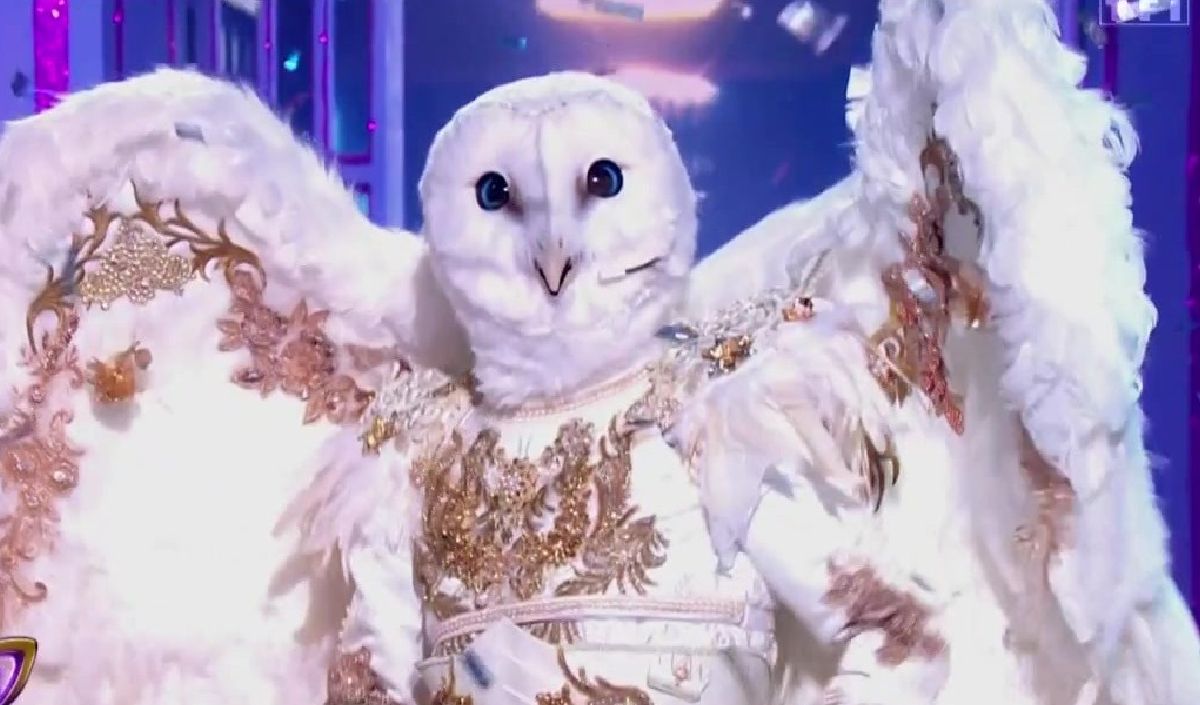 "Mask Singer" 2026 : Élimination aux portes de la finale pour la Chouette, une star inoubliable des années 1980