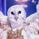 "Mask Singer" 2026 : Élimination aux portes de la finale pour la Chouette, une star inoubliable des années 1980