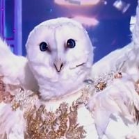 "Mask Singer" 2026 : Élimination aux portes de la finale pour la Chouette, une star inoubliable des années 1980