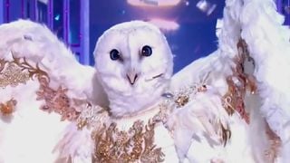 "Mask Singer" 2026 : Élimination aux portes de la finale pour la Chouette, une star inoubliable des années 1980