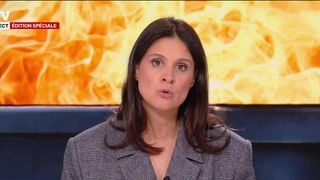 "C'est absolument inouï" : Apolline de Malherbe agacée en découvrant une pancarte critiquant les médias en direct à l'antenne de BFMTV