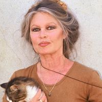 Obsèques de Brigitte Bardot : Sur quelles chaînes et à quelle heure suivre l’évènement ?