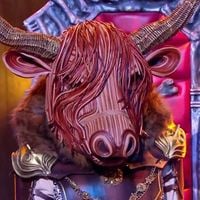 "Mask Singer" 2025 : On a démasqué le Bison... Il s'agit d'un célèbre chanteur de comédies musicales