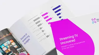 Streaming, FAST, AVOD : Les annonceurs français seront au rendez-vous en 2025