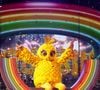 Qui se cache sous le Poussin dans "Mask Singer" 2026 ?