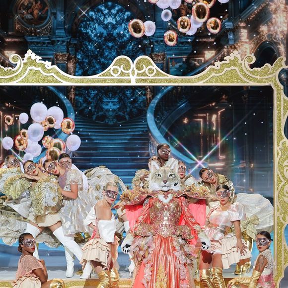 Le Lynx performe sur le plateau de "Mask Singer" saison 8.