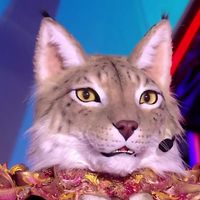 “Mask Singer” 2025 : Quelle célébrité se cachait sous "Le Lynx” et a été révélée ce vendredi soir sur TF1 ?