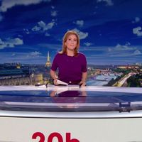 Audiences access 20h : Près de 2 millions de téléspectateurs d'écart entre Gilles Bouleau (TF1) et Léa Salamé (France 2)