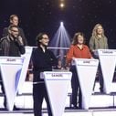 "Le grand concours" : Qui a gagné la spéciale humoristes du jeu présenté par Arthur sur TF1 ?