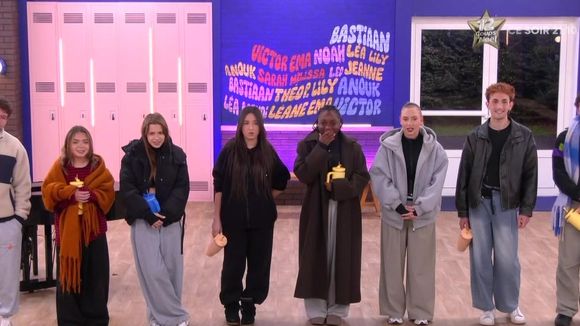 Audiences pré-access : La quotidienne de la "Star Academy" en forme sur TF1, carton pour "Le grand bêtisier" sur TMC