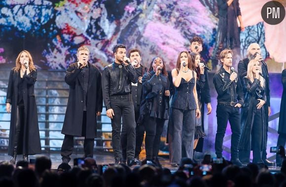 La troupe de "La ballade des Enfoirés", le concert 2026 aux profits des Restos du coeur