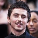 Box-office : Timothée Chalamet dans "Marty Supreme" a-t-il réussi à exister face au raz-de-marée du "Marsupilami" de Philippe Lacheau ?
