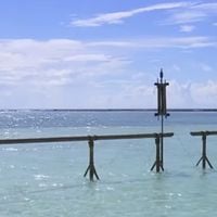 "Koh-Lanta" : Quel candidat détient le record du plus de temps passé sur la redoutable épreuve des paresseux ?