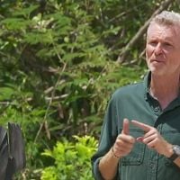 Coup de théâtre au moment du conseil des jaunes dans "Koh-Lanta, Les Reliques du destin" sur TF1